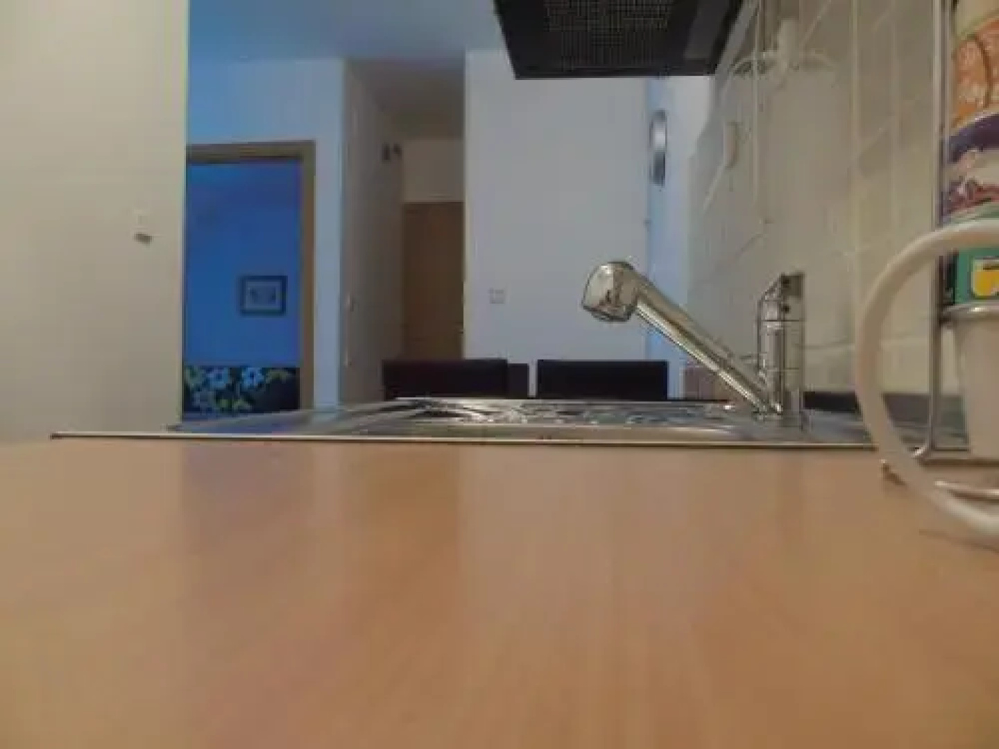 Apartment Divald