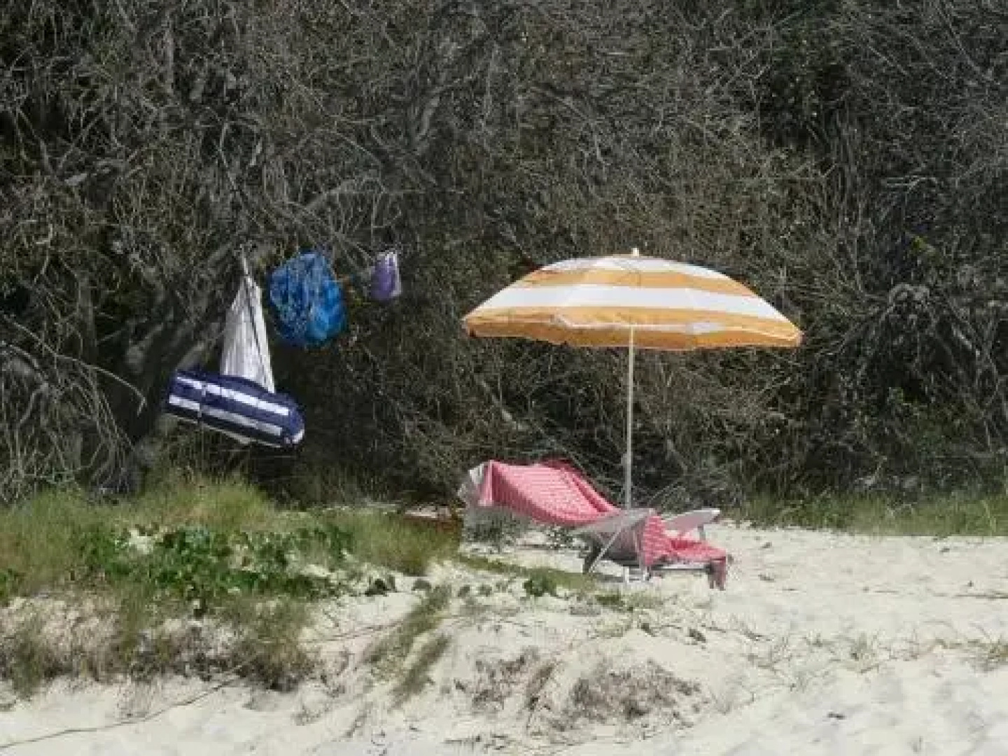 White Waves on the Beach