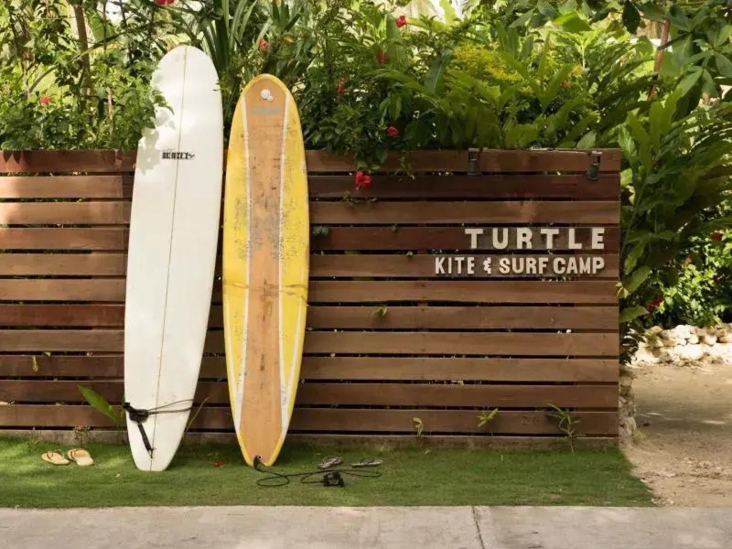 Turtle Surf Camp