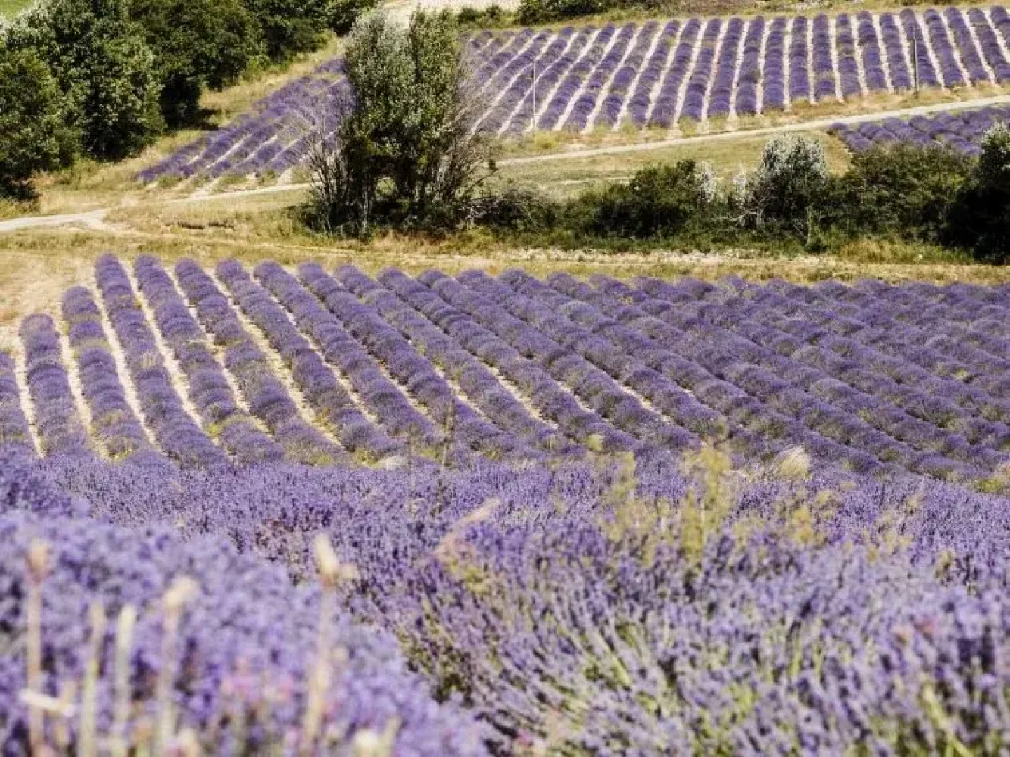 Holiday Home Aubignane La Bergerette de Pierroun