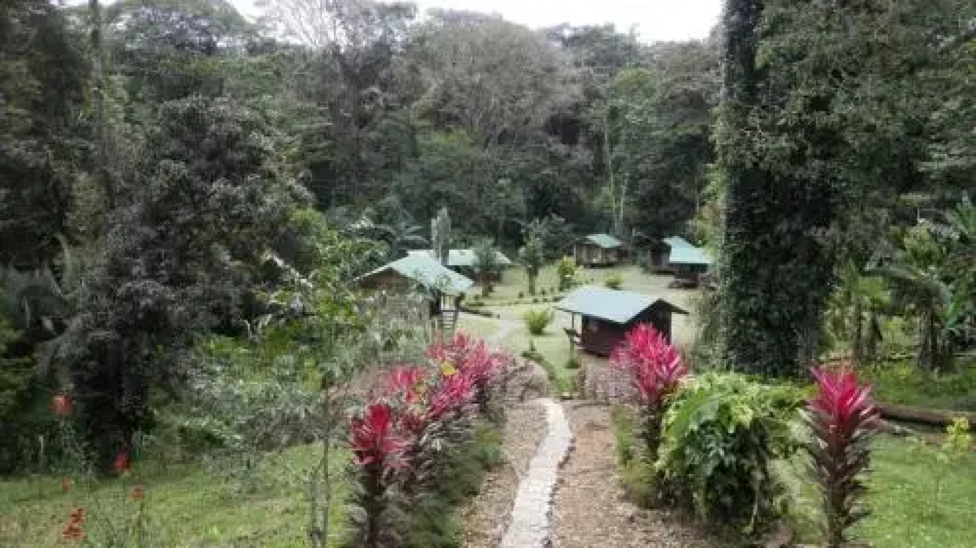 Alouatta Lodge