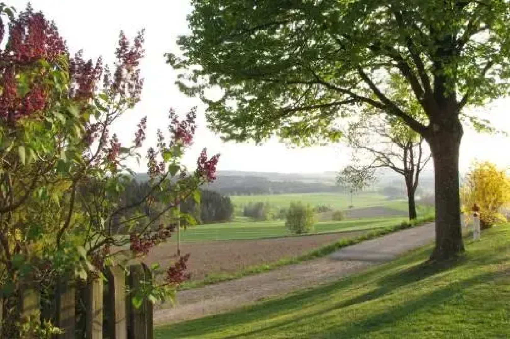 Haus Hollerbusch