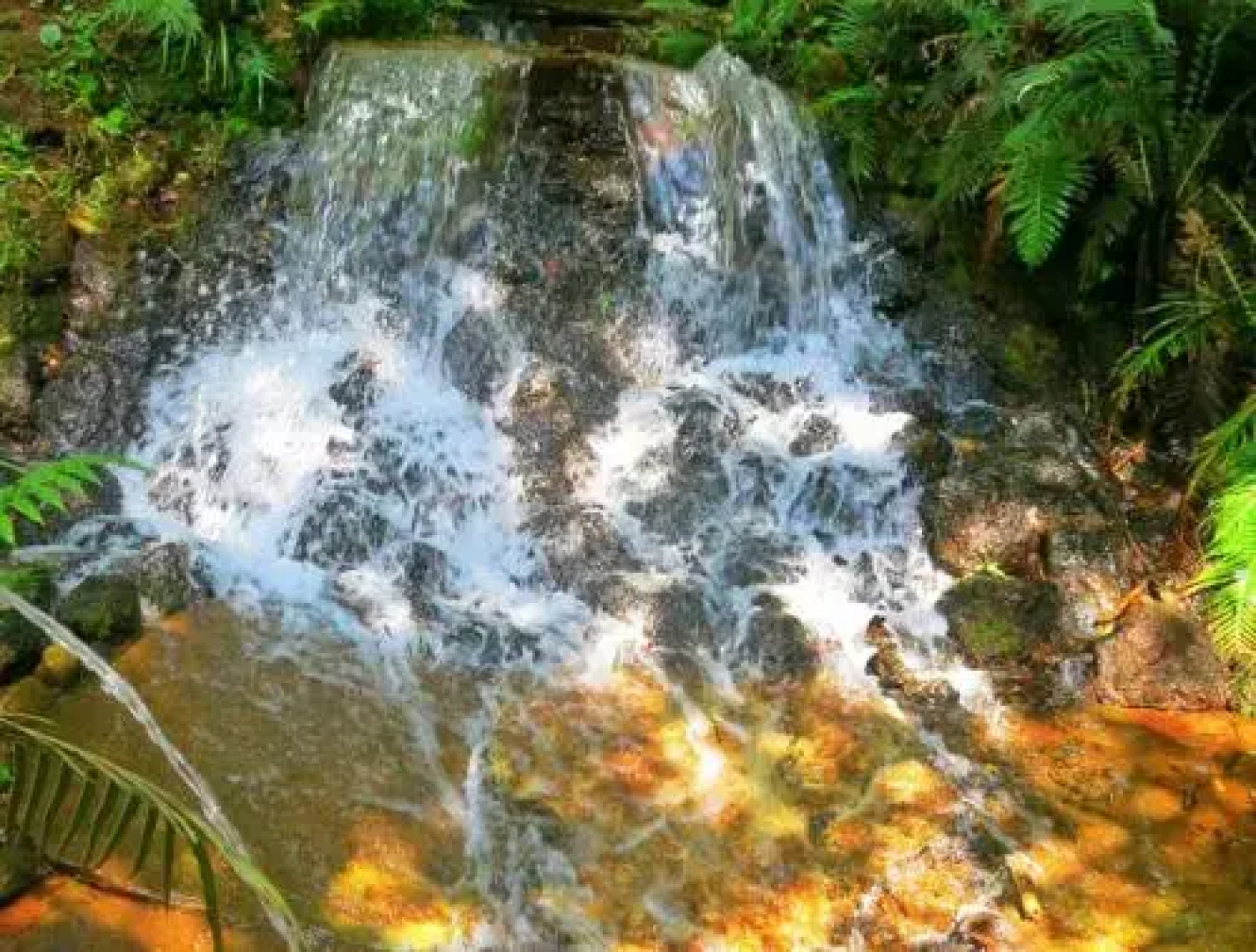 Jangada dos Tucanos