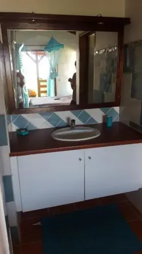Gîte Les Palmistes