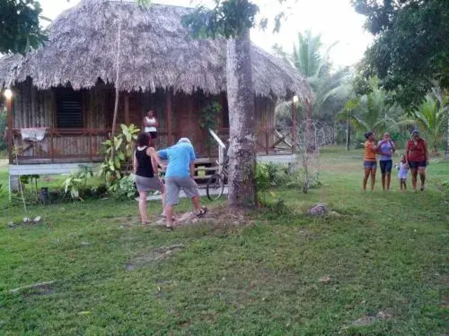 Nature Resort