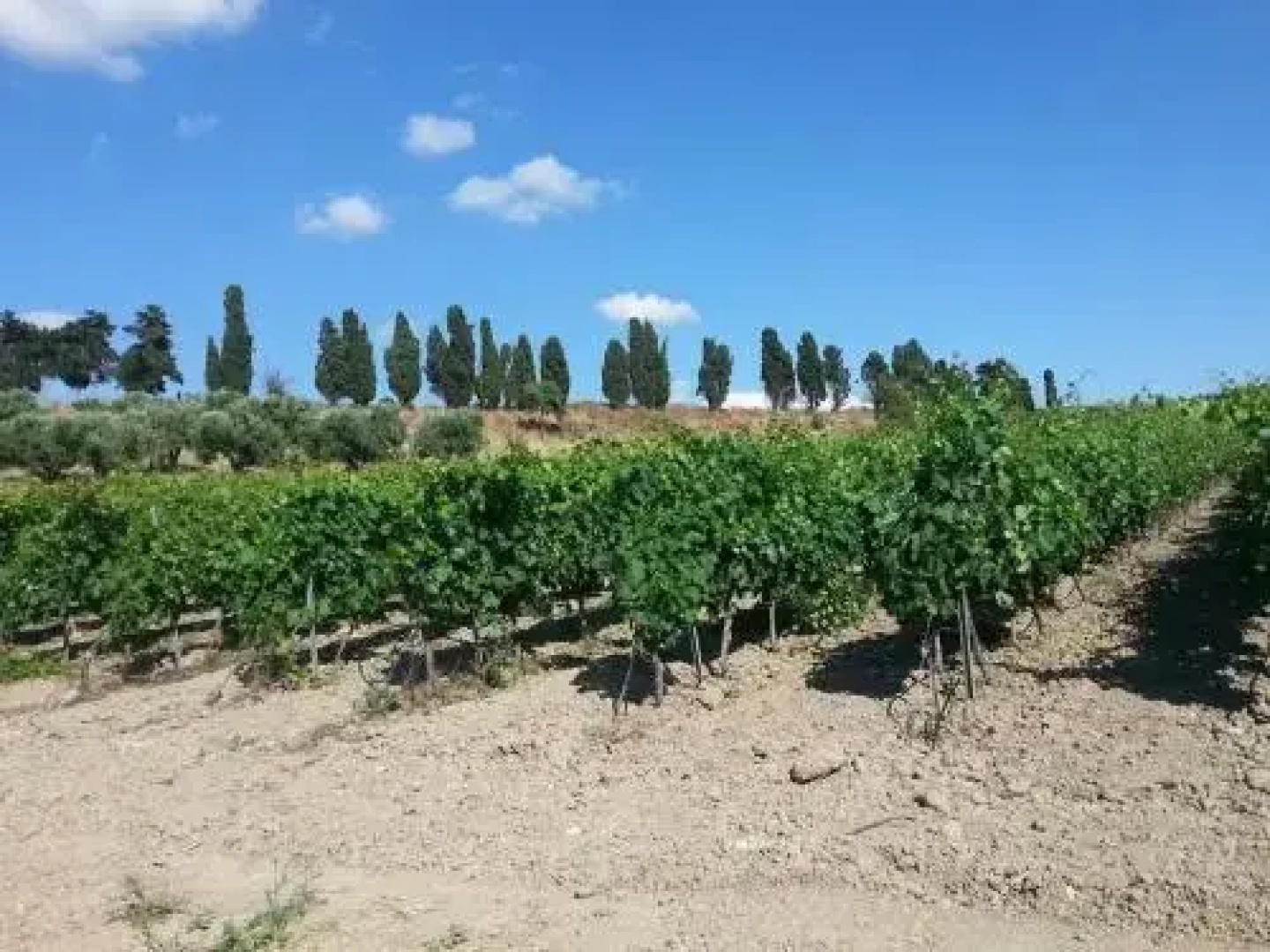 Agriturismo Santu Marcialis
