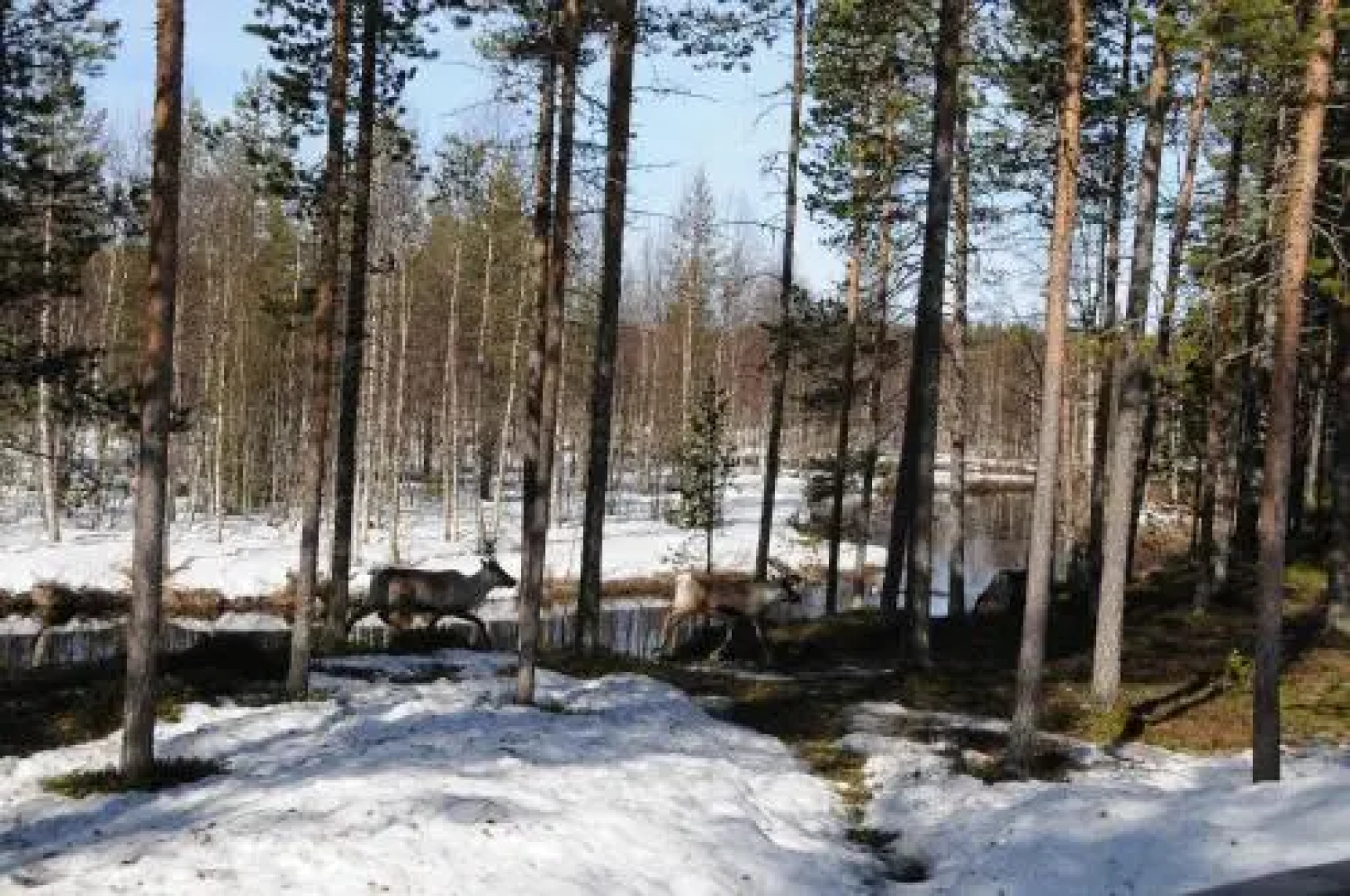 Kruununmaja (Kruunumaja)