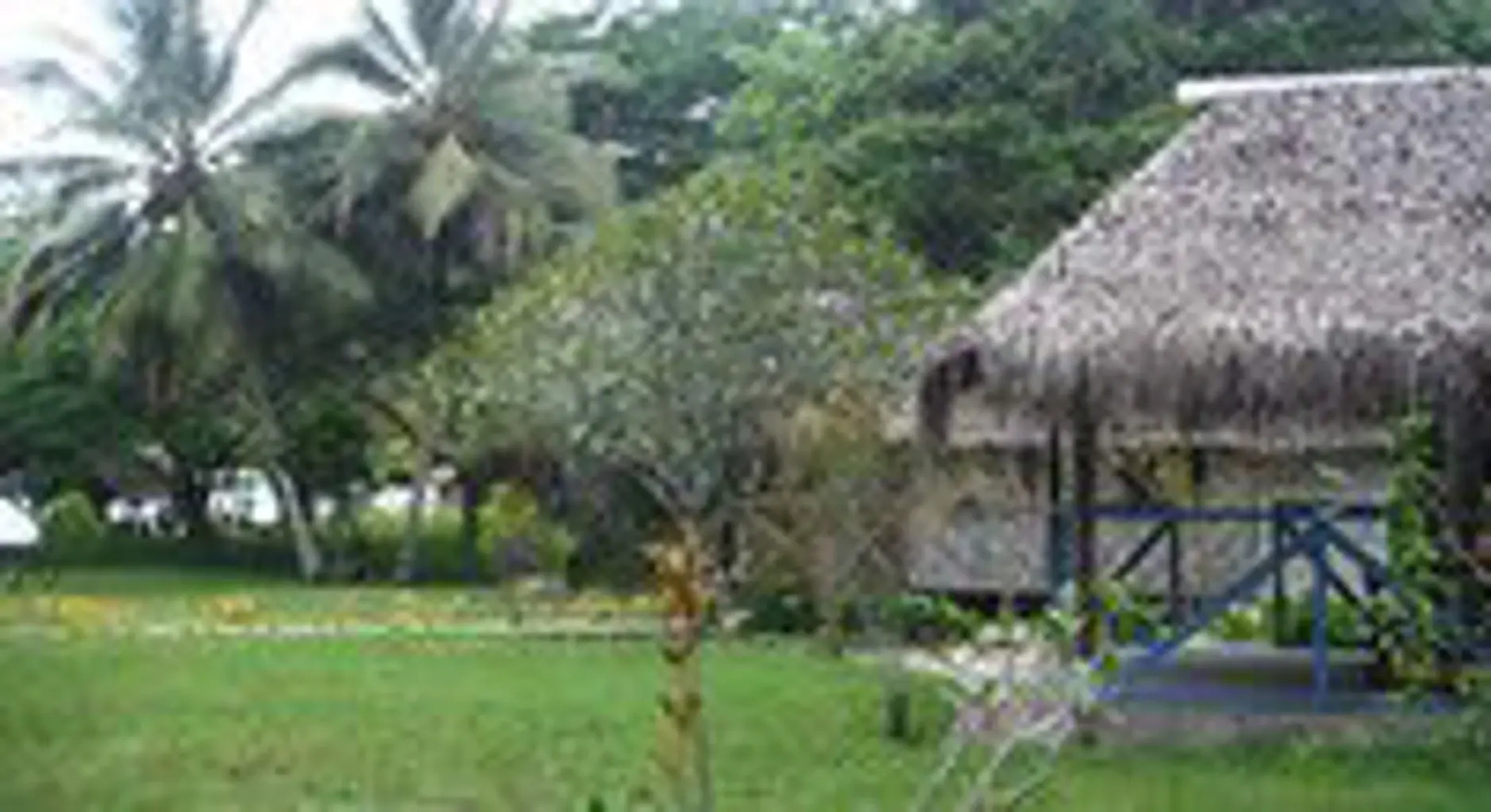 Lonnoc Beach Bungalow