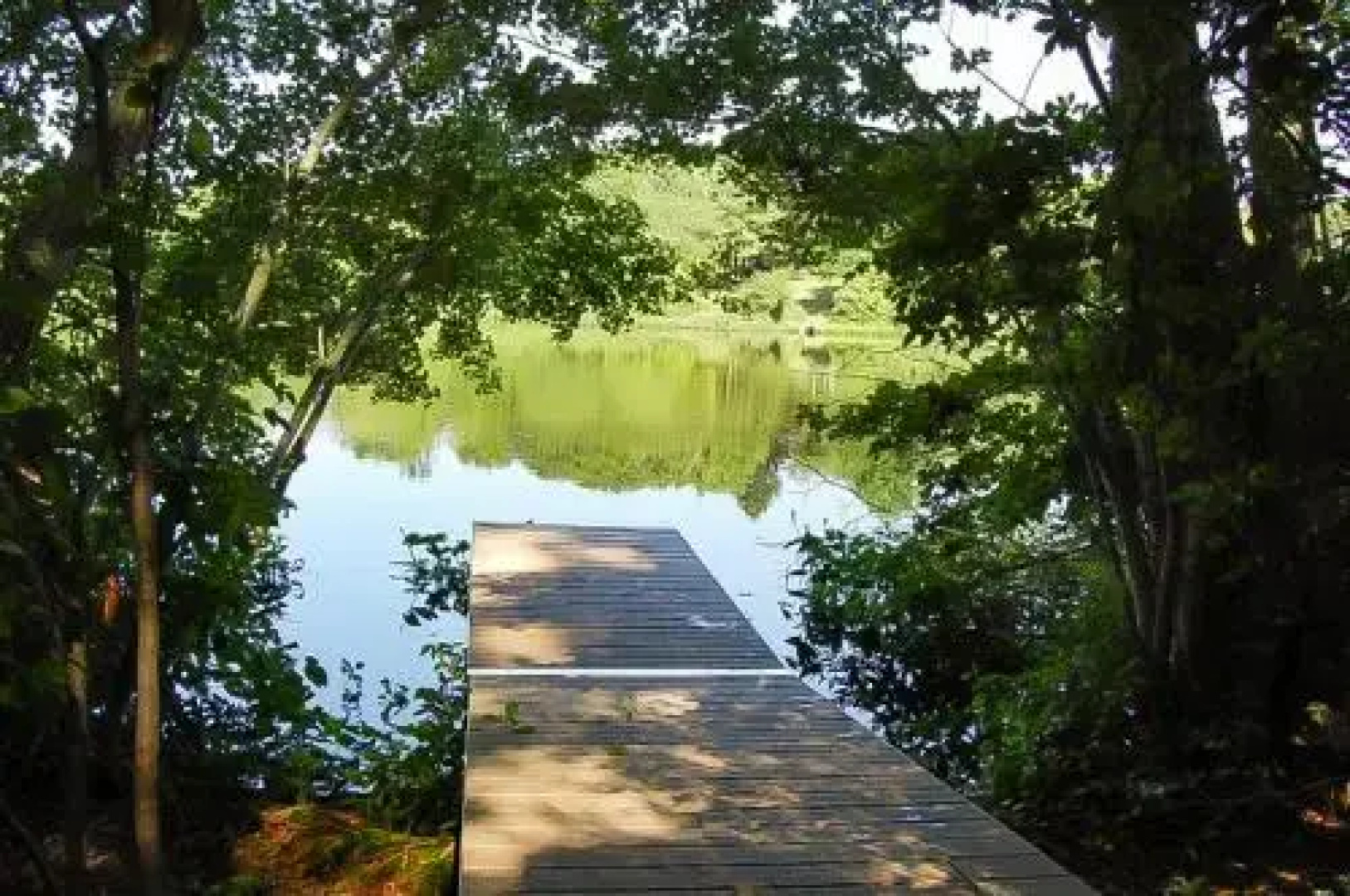 Pond-Front Perfection - 3 Br Home
