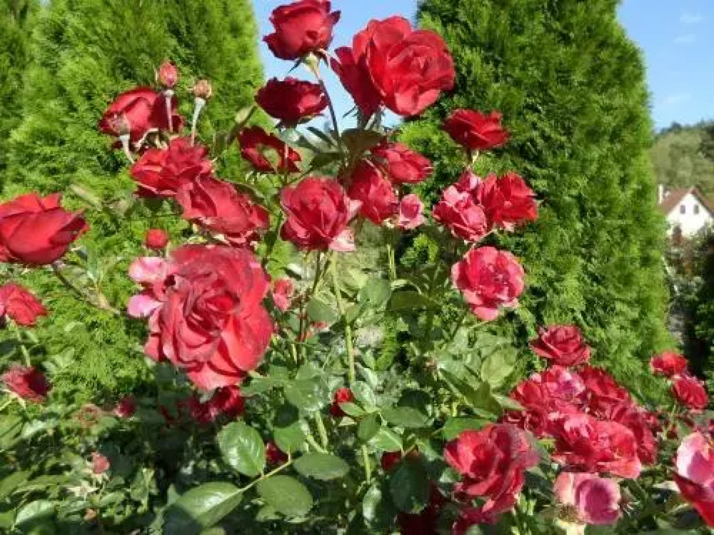 Pacsirta Vendégház Egerszalók