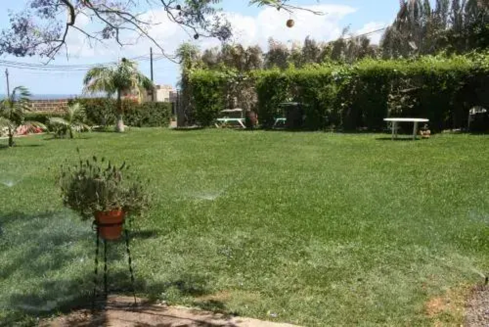 Casa del abuelo Buenavista del Norte