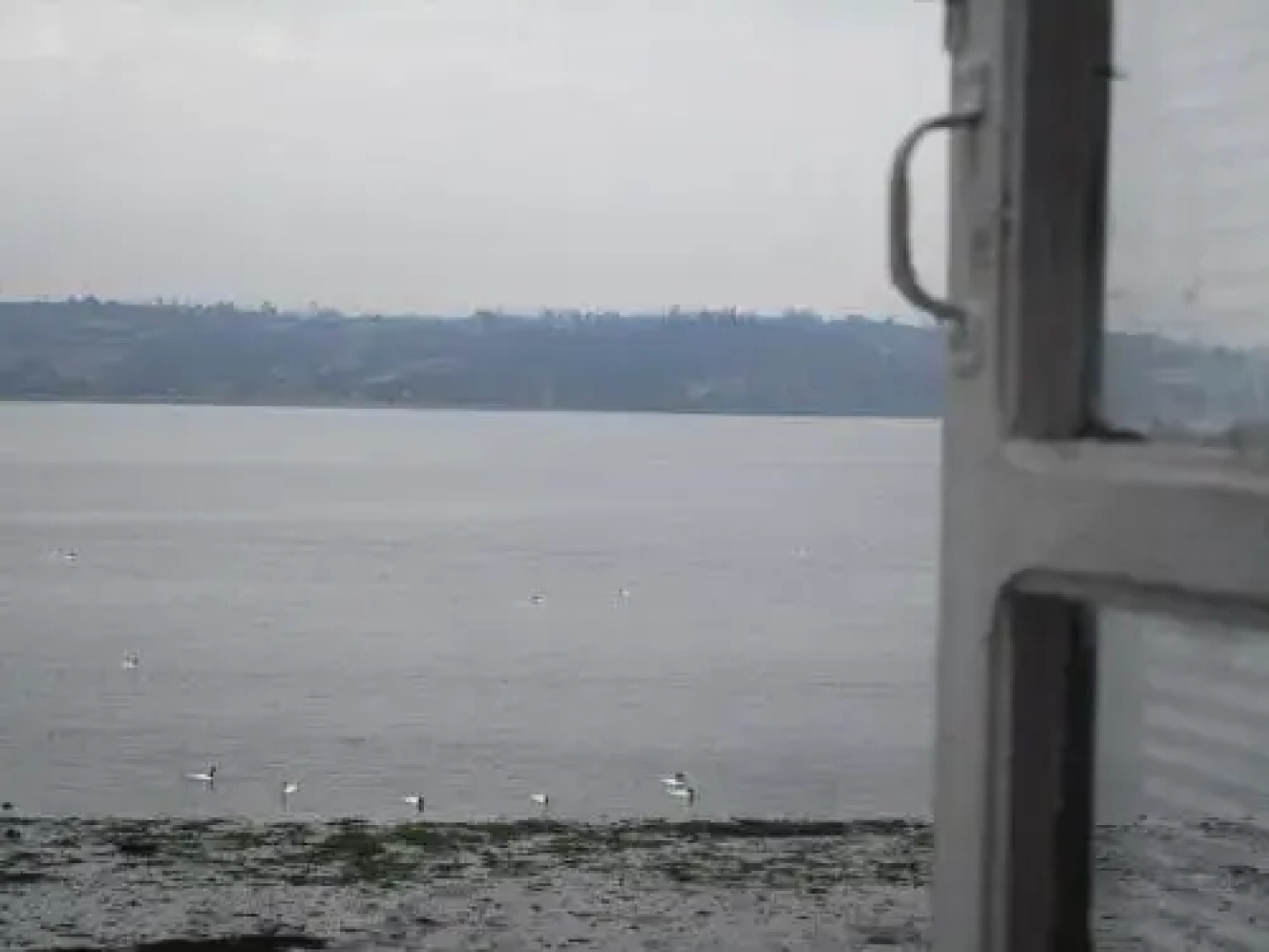 Palafitos Emilio y Ester