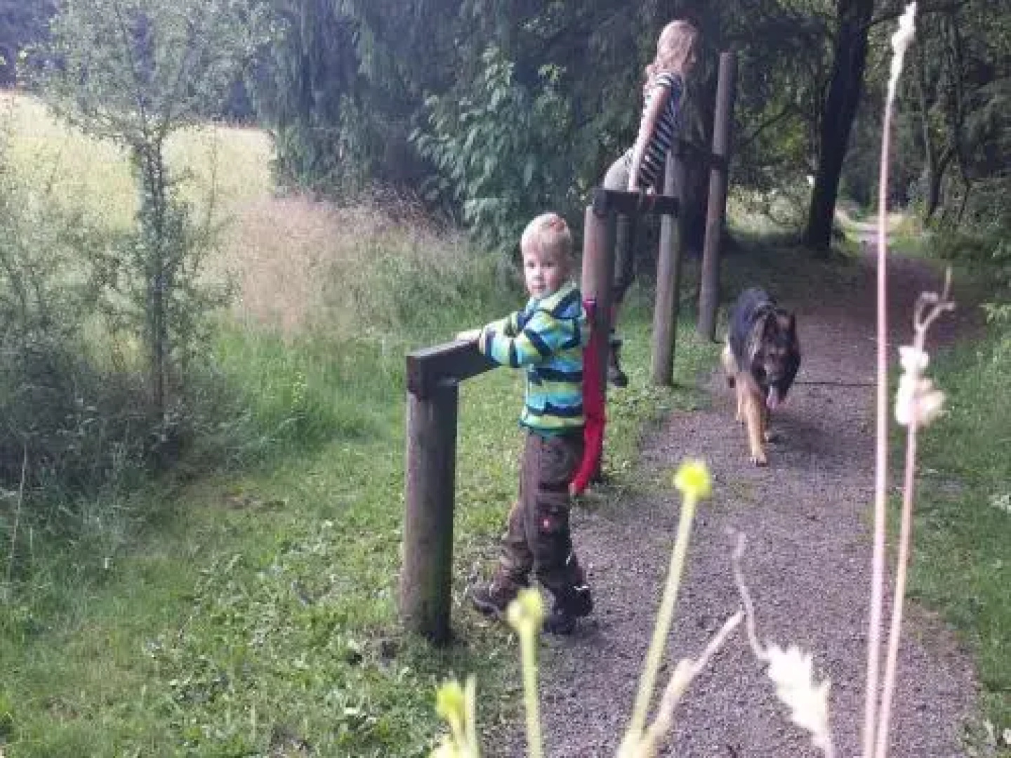 Haus Unter den Linden