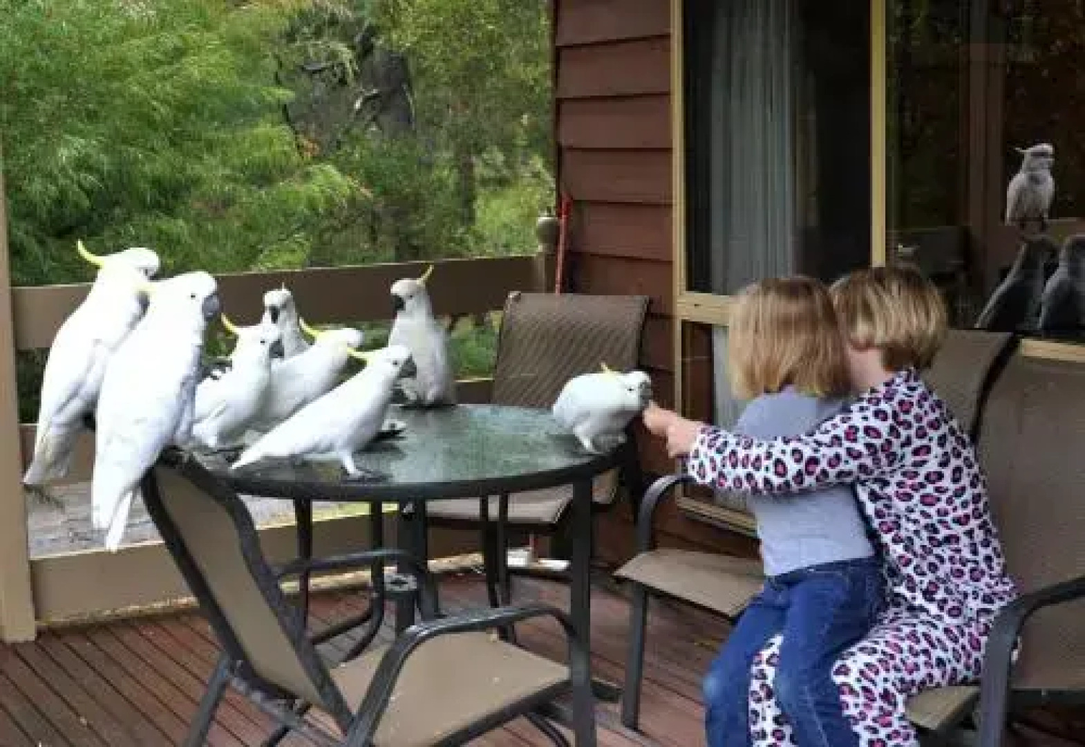 Ellimata Holiday Cottage