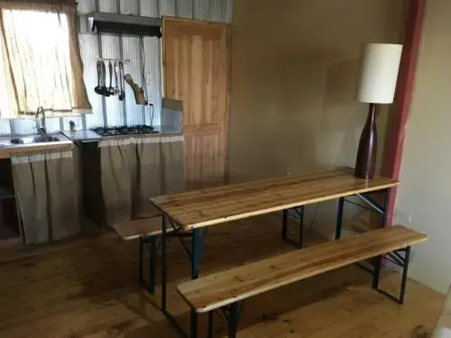 El bosque del canelo