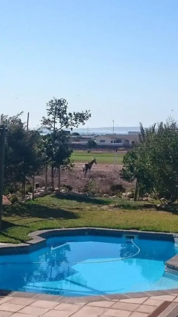 Eagle Bed and Breakfast