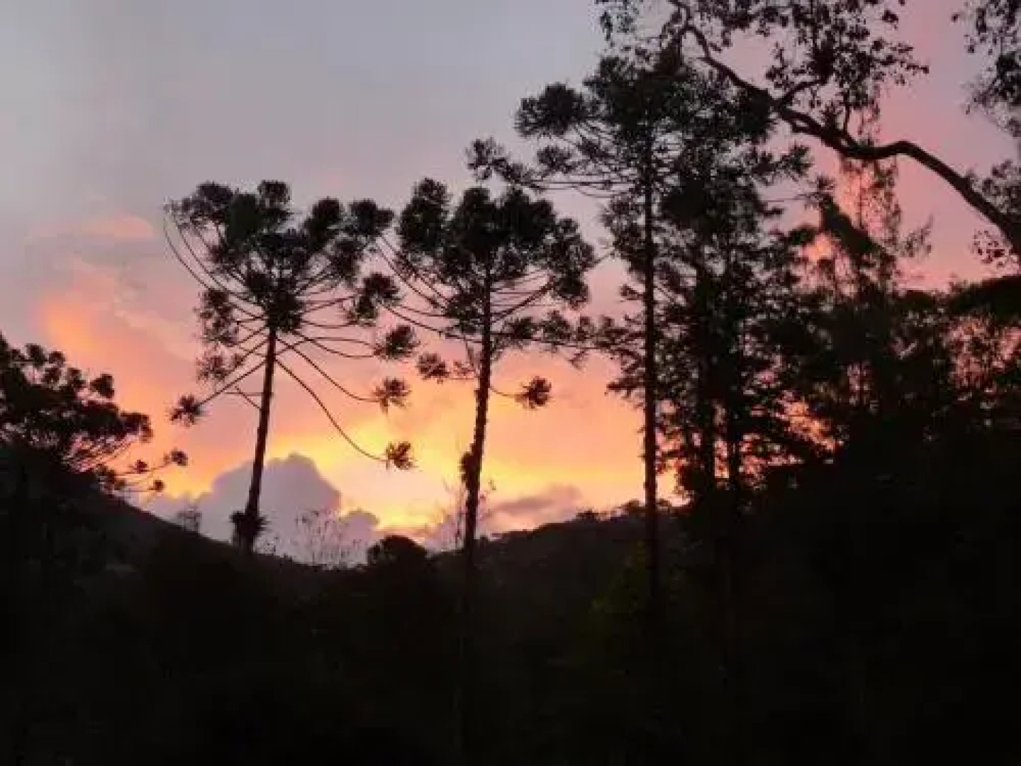 Rancho do Pavão Charmoso Chalé