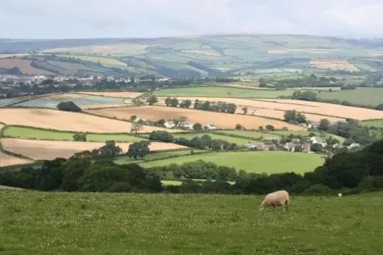 Sampson Barton Guest House South Molton