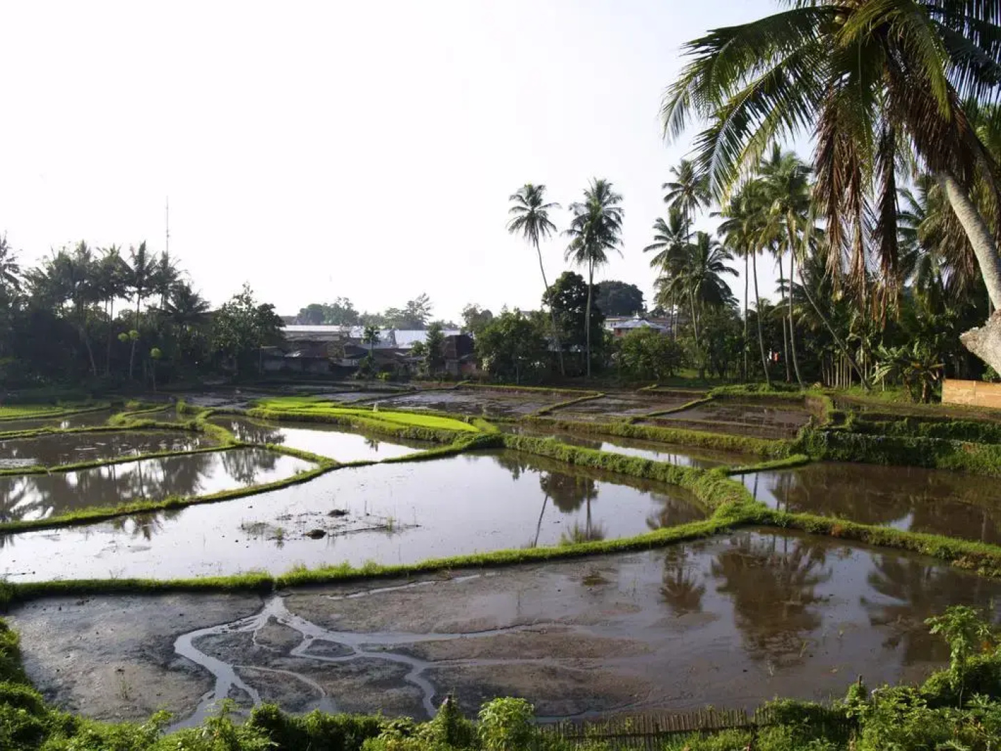 Emersia Hotel & Resort Batusangkar