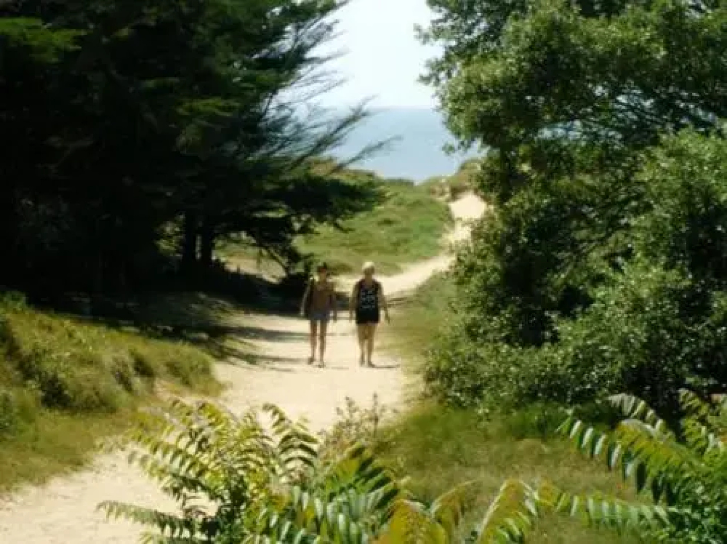 Camping La Forêt