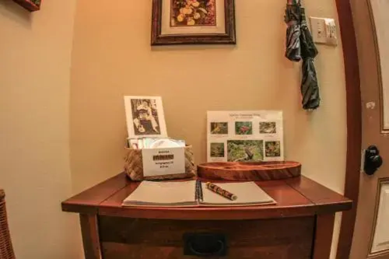 Ferny Hollow: Romantic Rainforest Cottage