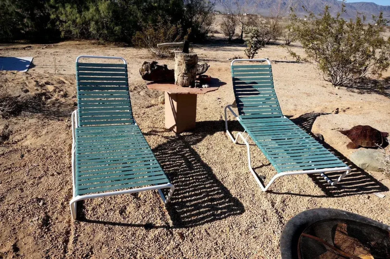 Oasis by Joshua Desert Retreats