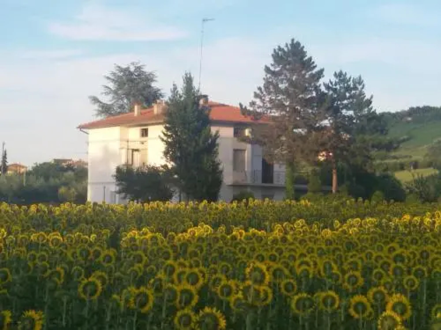 BB Il Ponte Di Legno