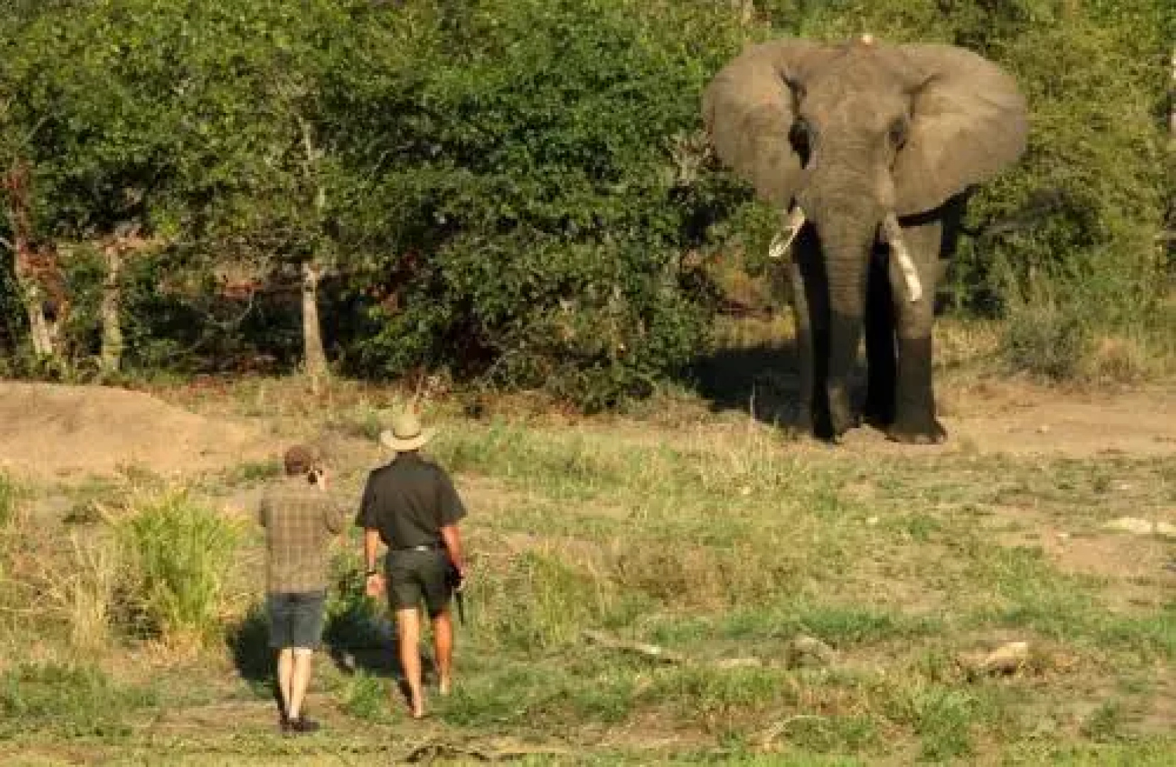 Tulela Safari Lodge