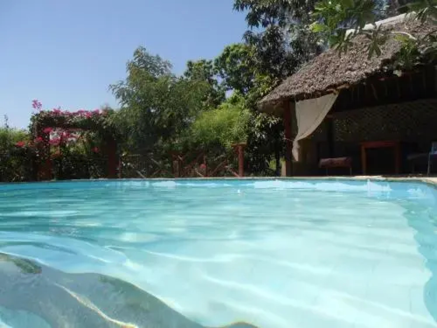 Tropical Garden House