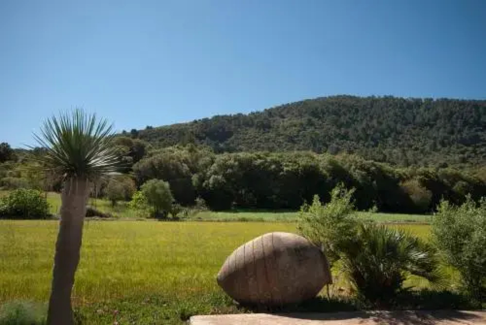 Hort Den Gelos Campanet Mallorca