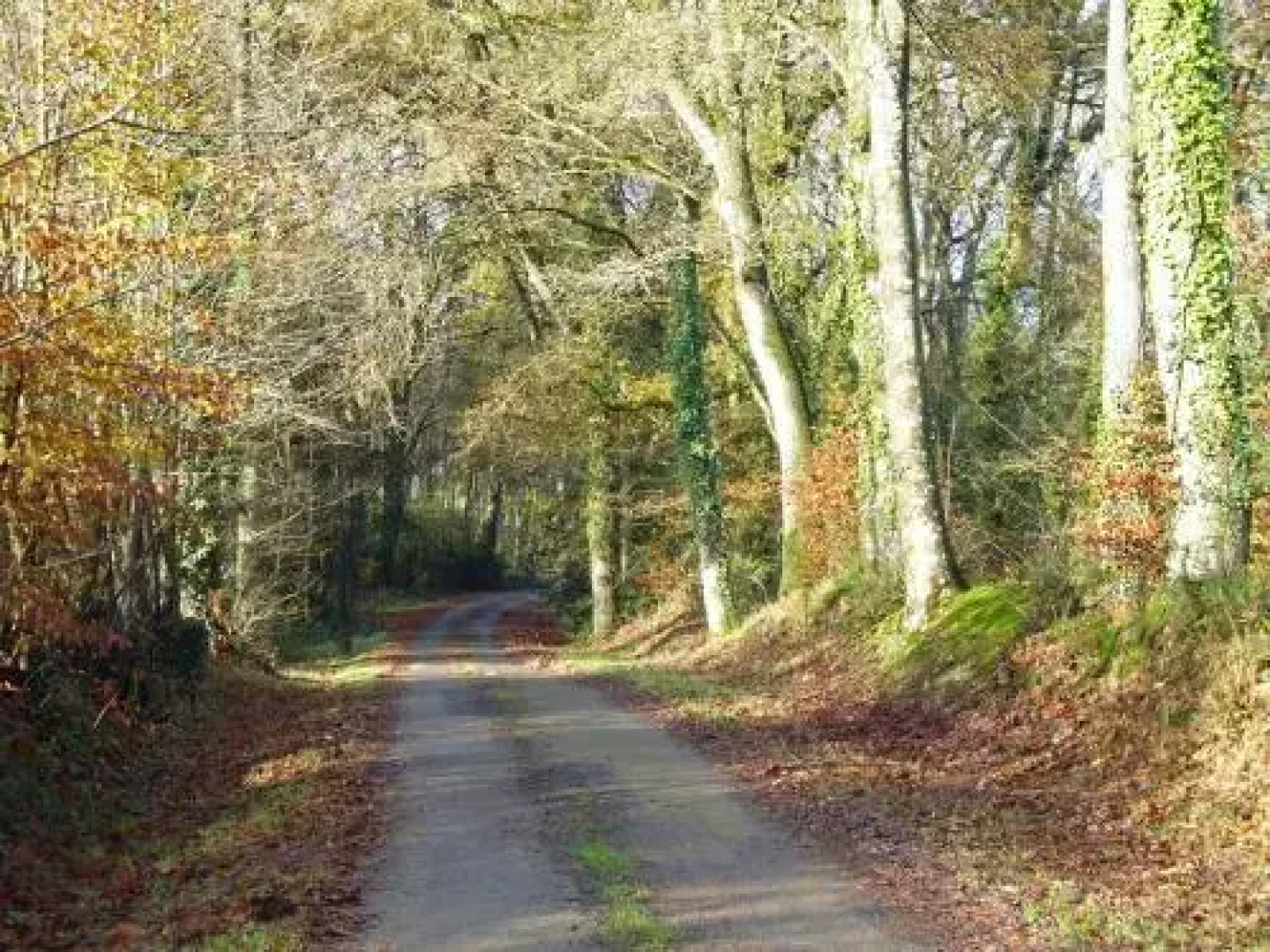 Chambres d'Hôtes Domaine du Bois-Basset