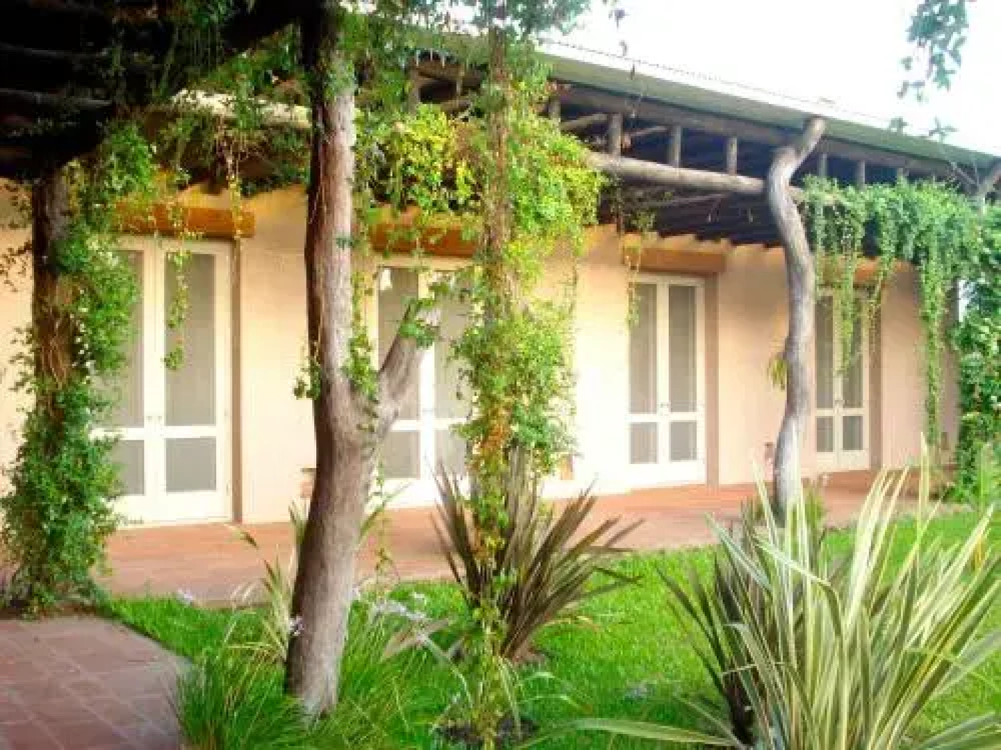 Aguaí