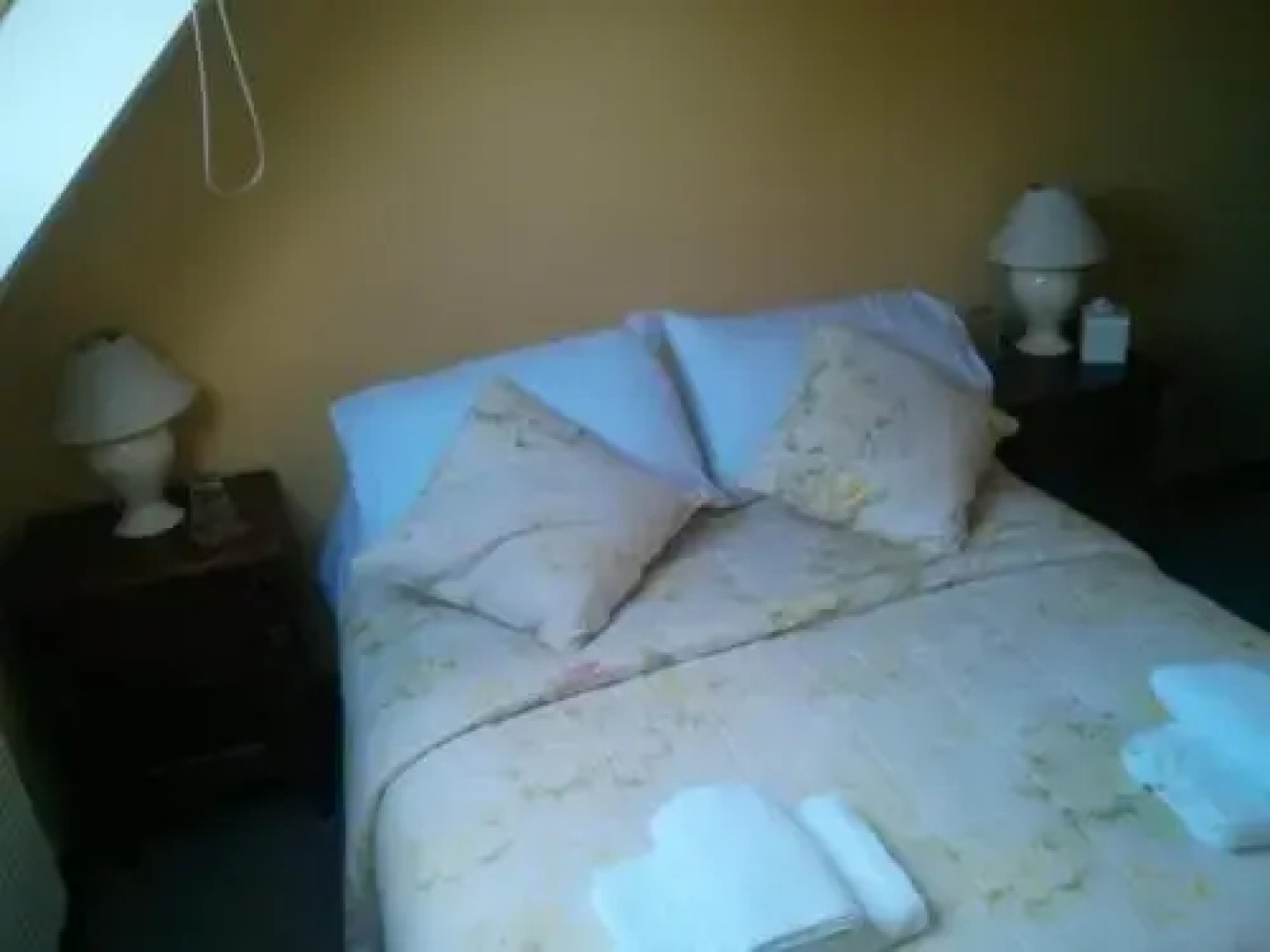 The Geese and Fountain