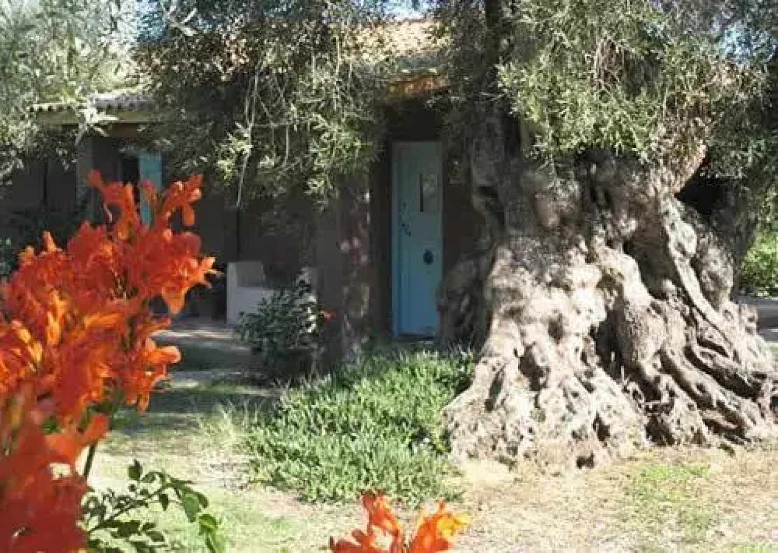 Logothetis Farm