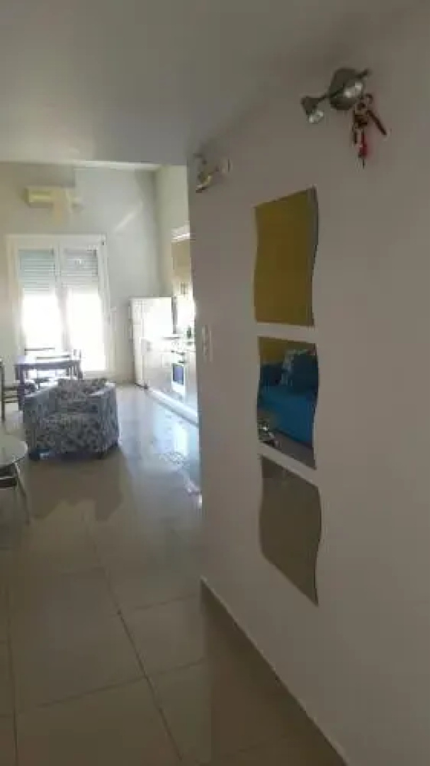 Gaviotis Suite