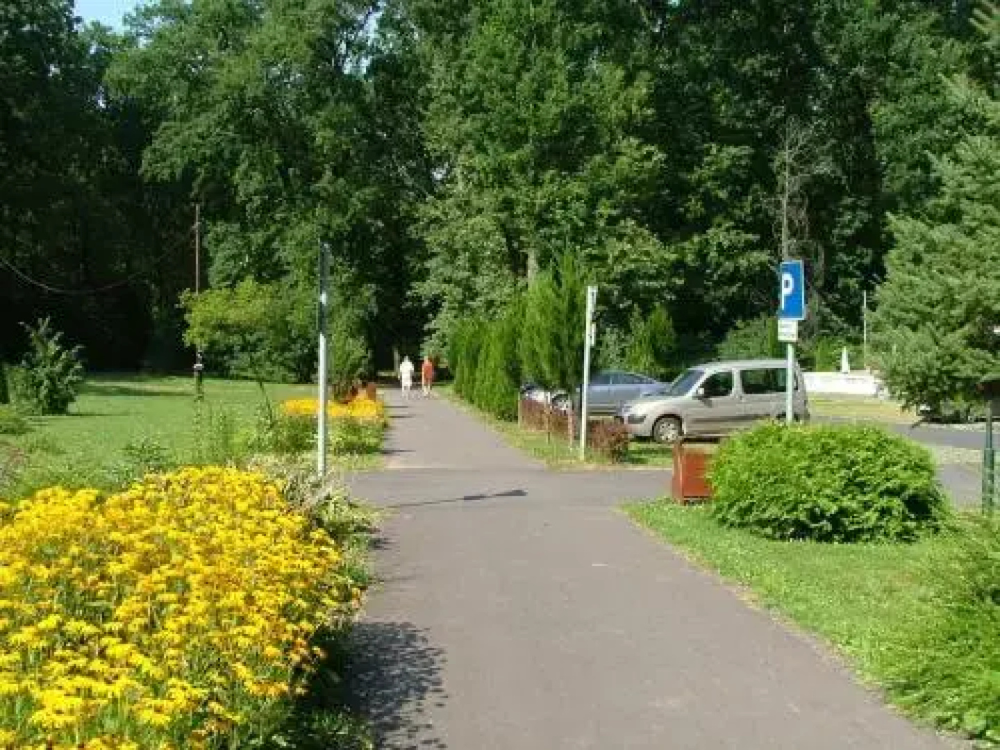 Erdőgyöngye Étterem és Panzió