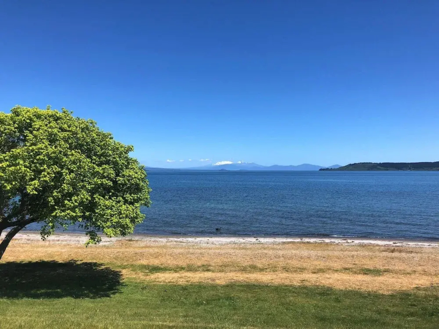 110 Lake Terrace - Taupo