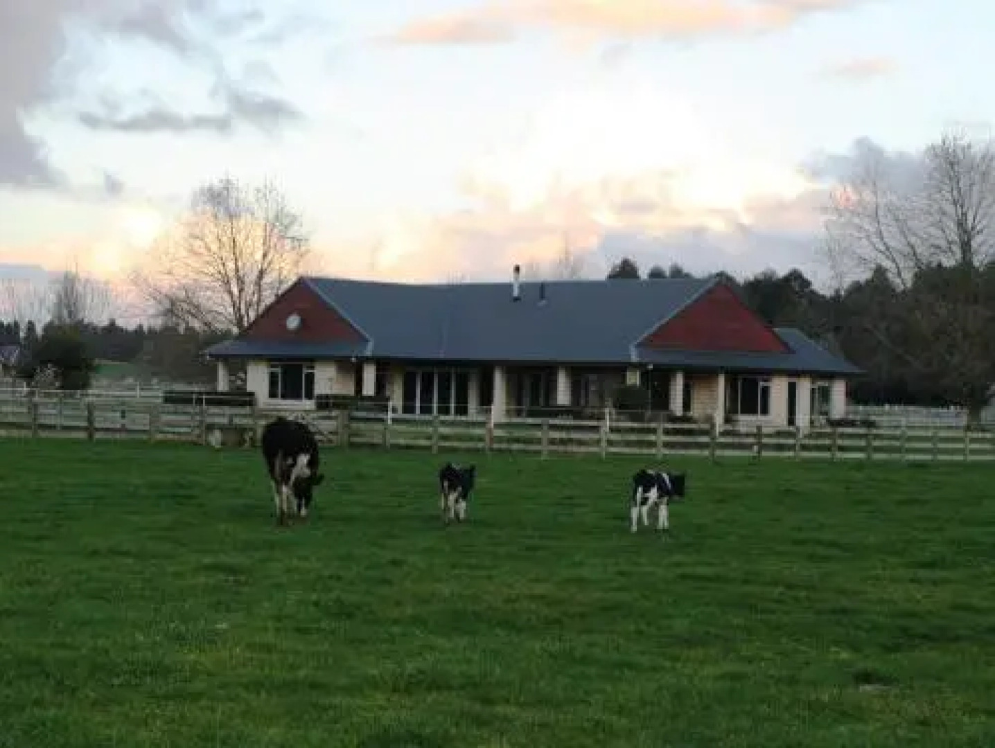 Amberfields Bed and Breakfast