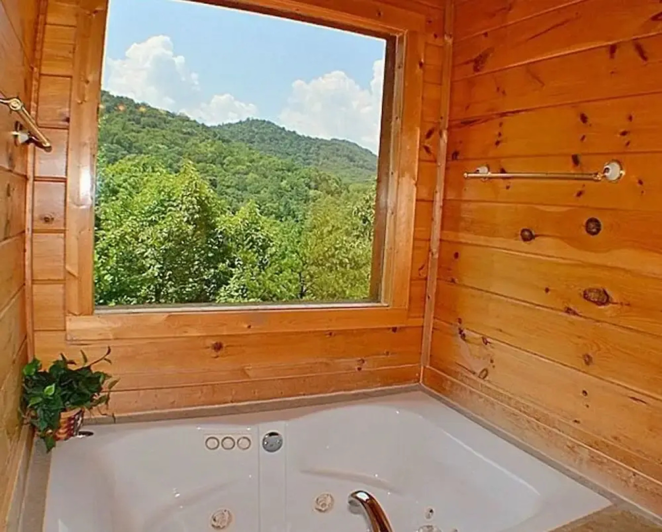 Bear Me Away Mountain Views