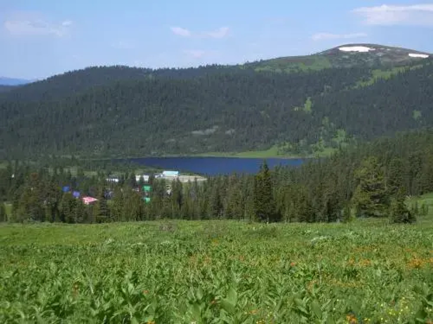 Фри Райд
