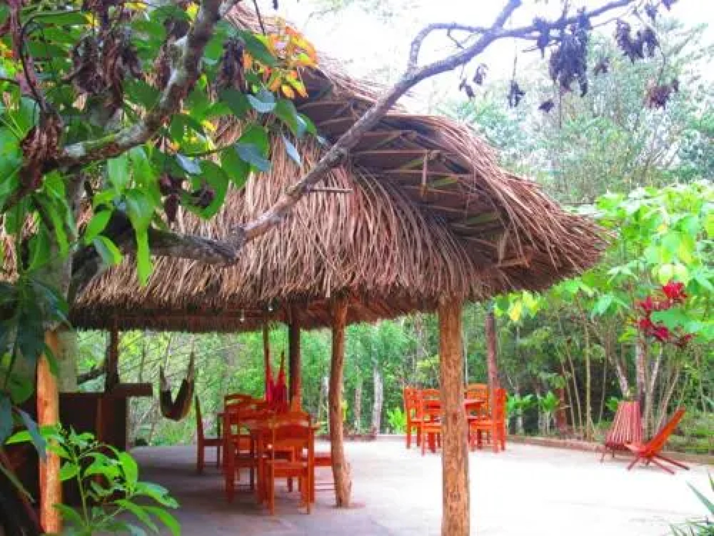 Chaya Maya Jungle Lodge