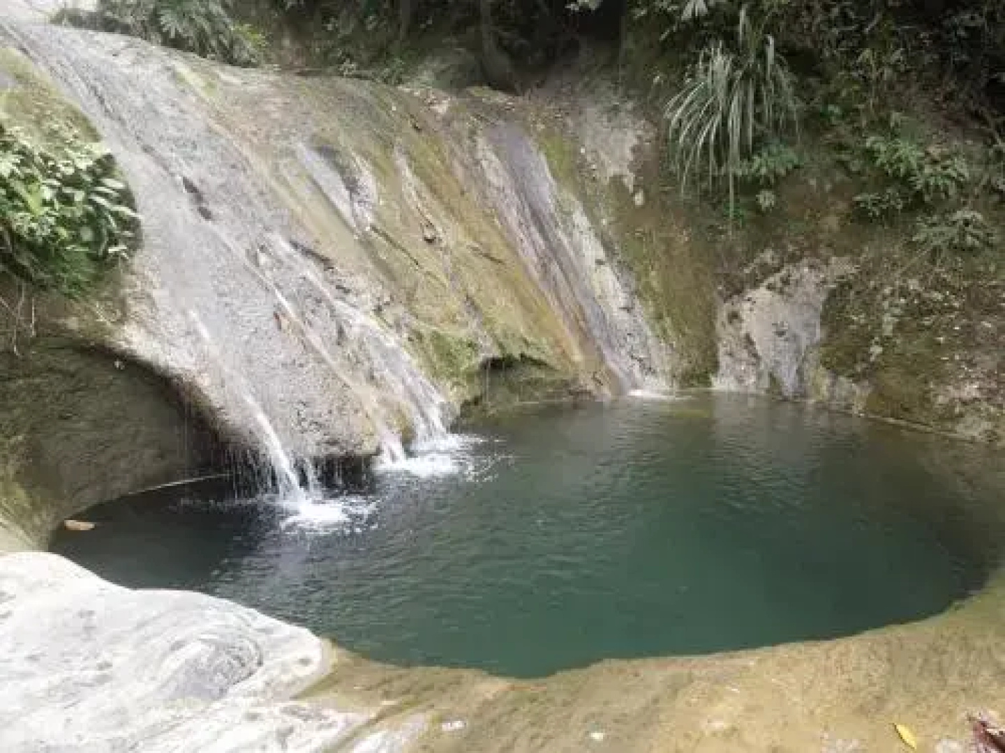 Hotel La Selva Agroecologica