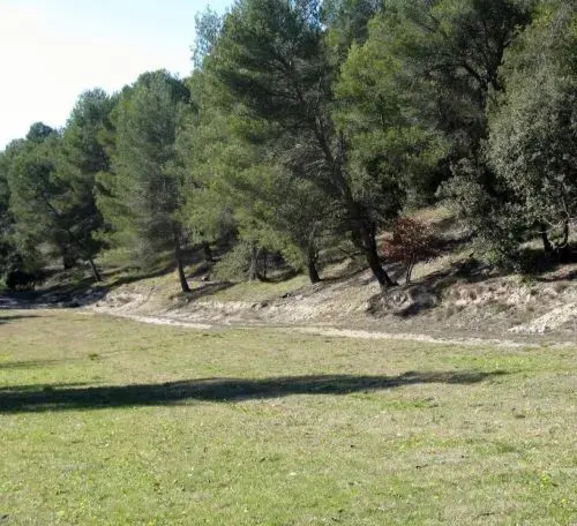 Les Restanques aux Oliviers