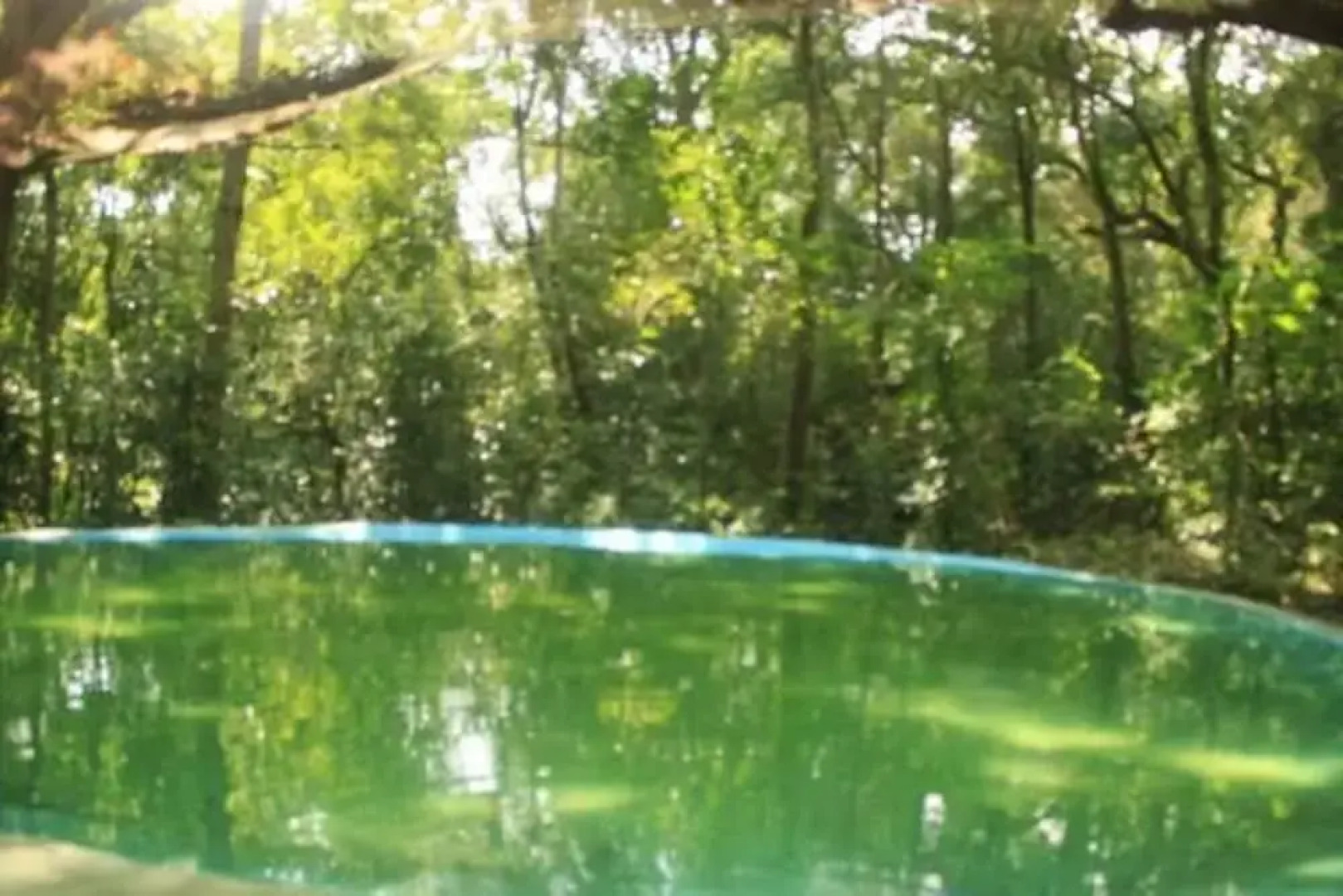 Jiwes Hideout Forest Region