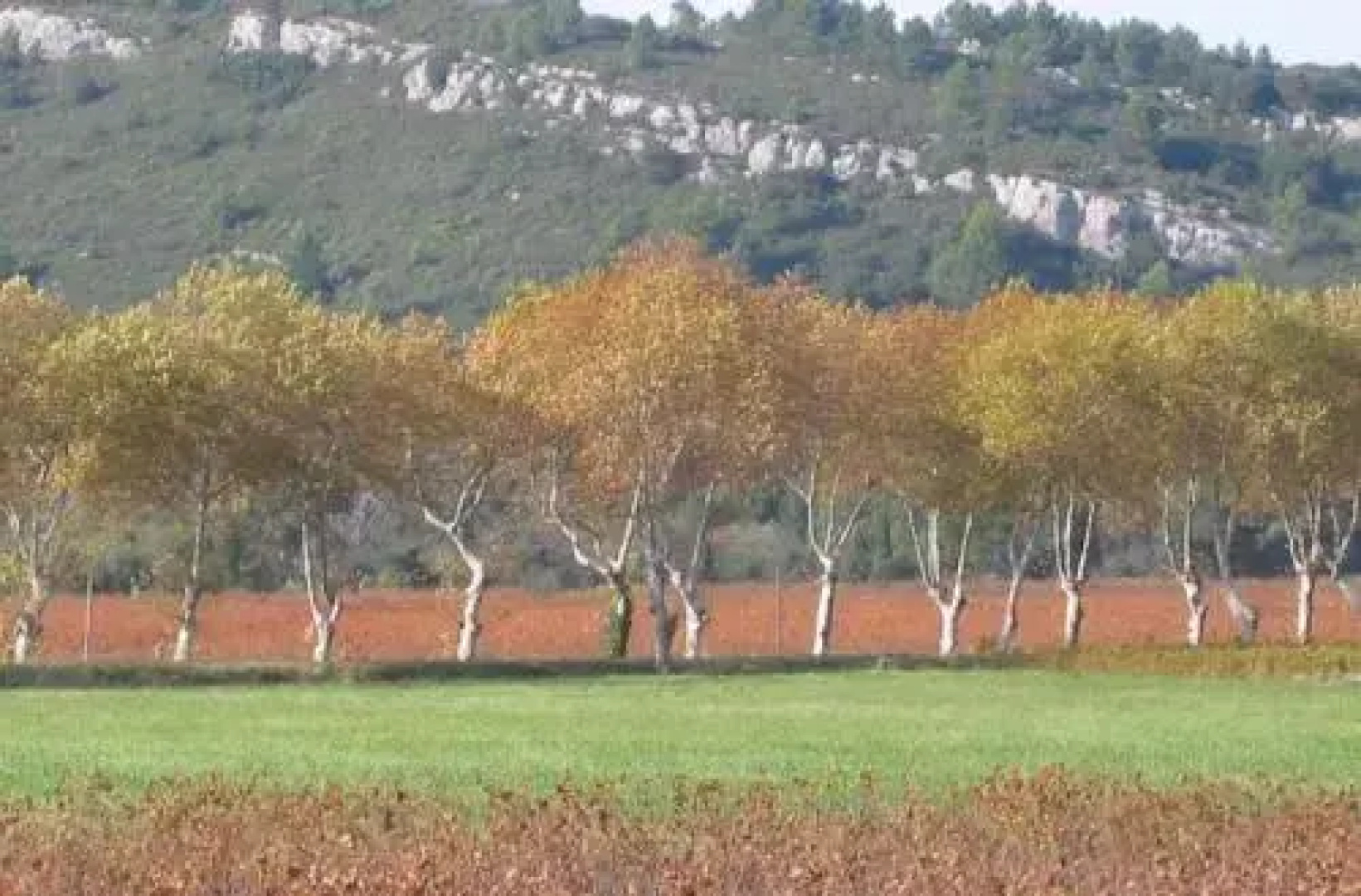 Gite de rêve Riverside Lagrasse