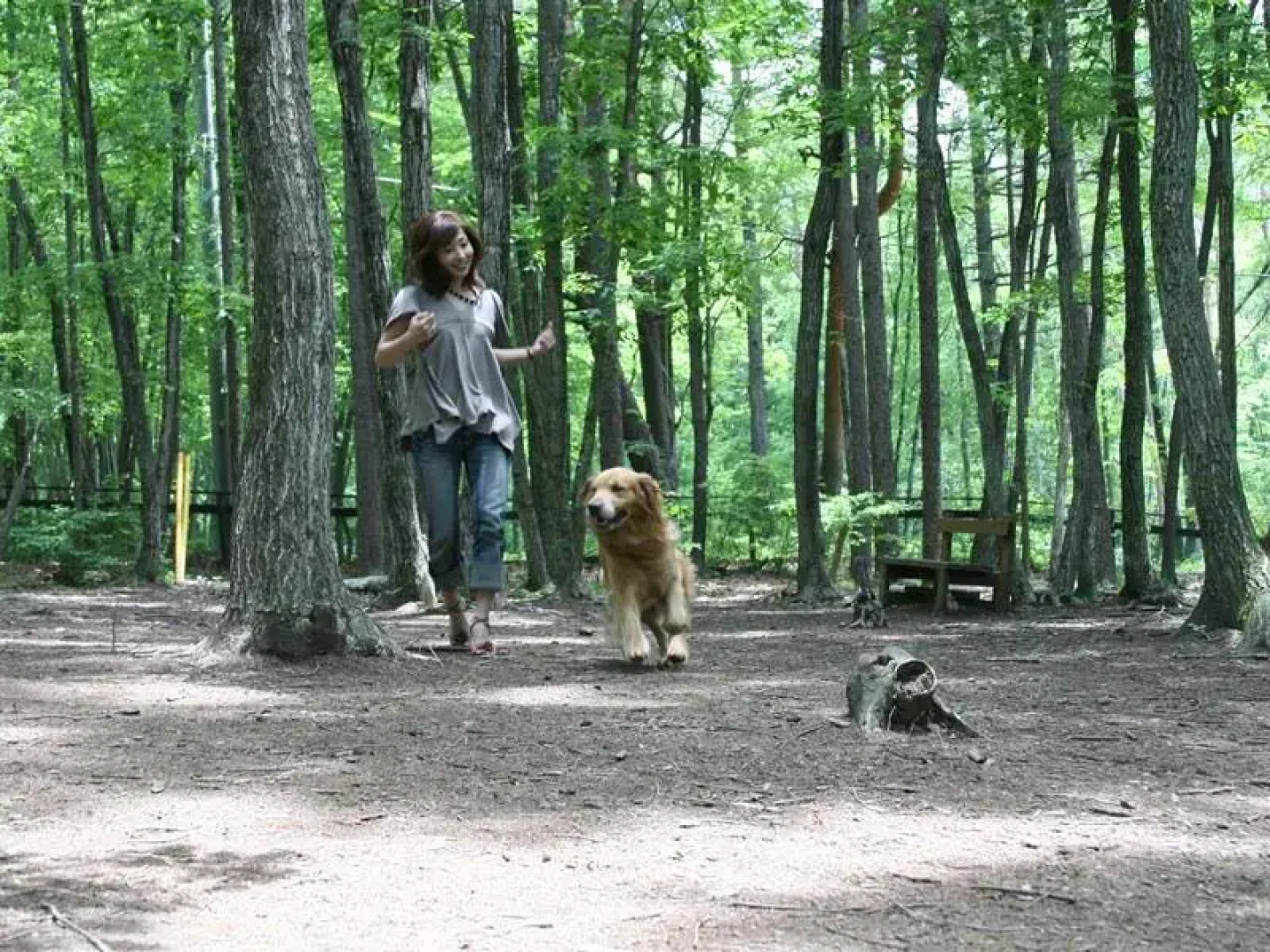 Izumigo Yatsugatake Dog Paradise Cottage