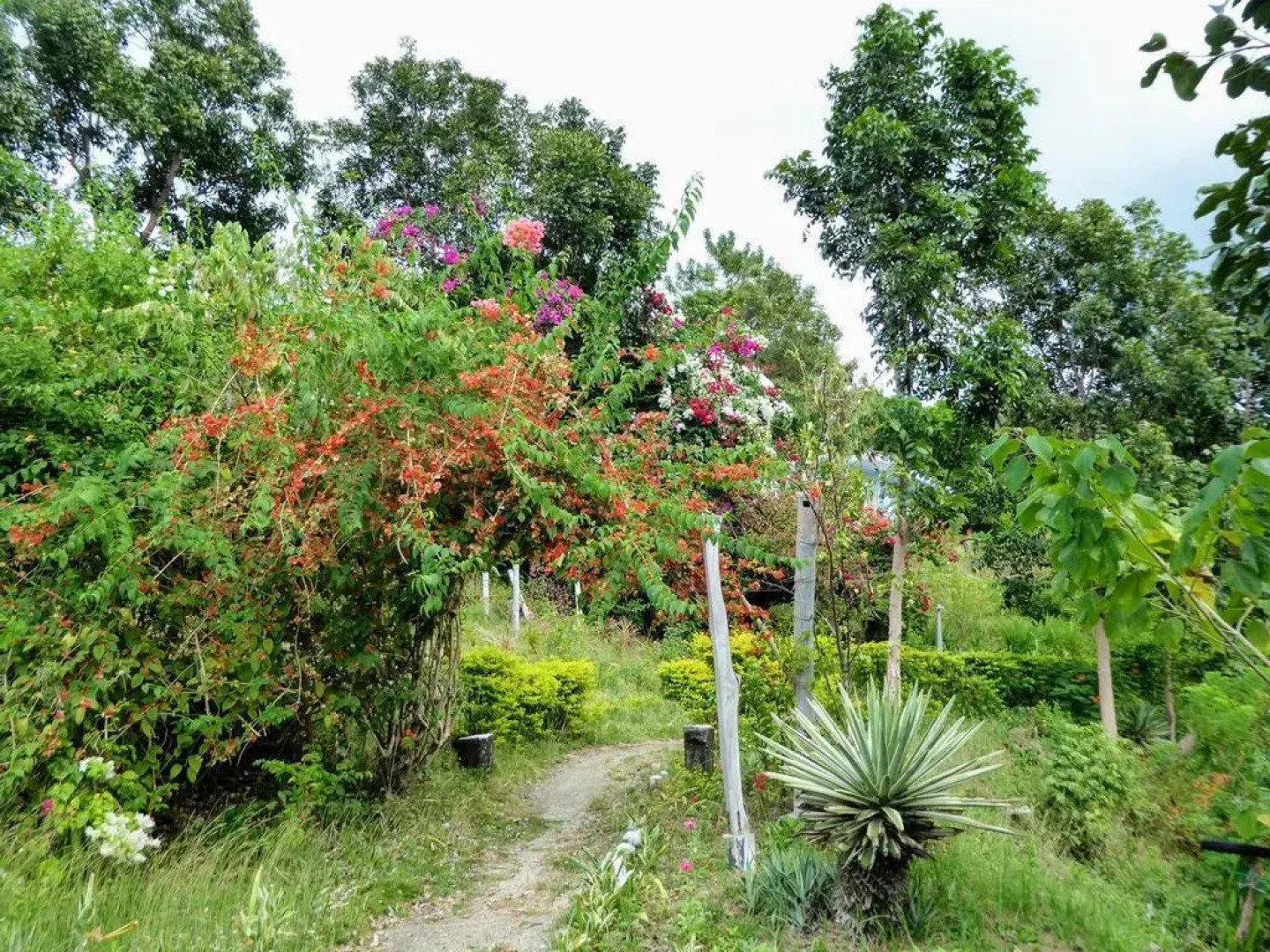 Natures Healing Home