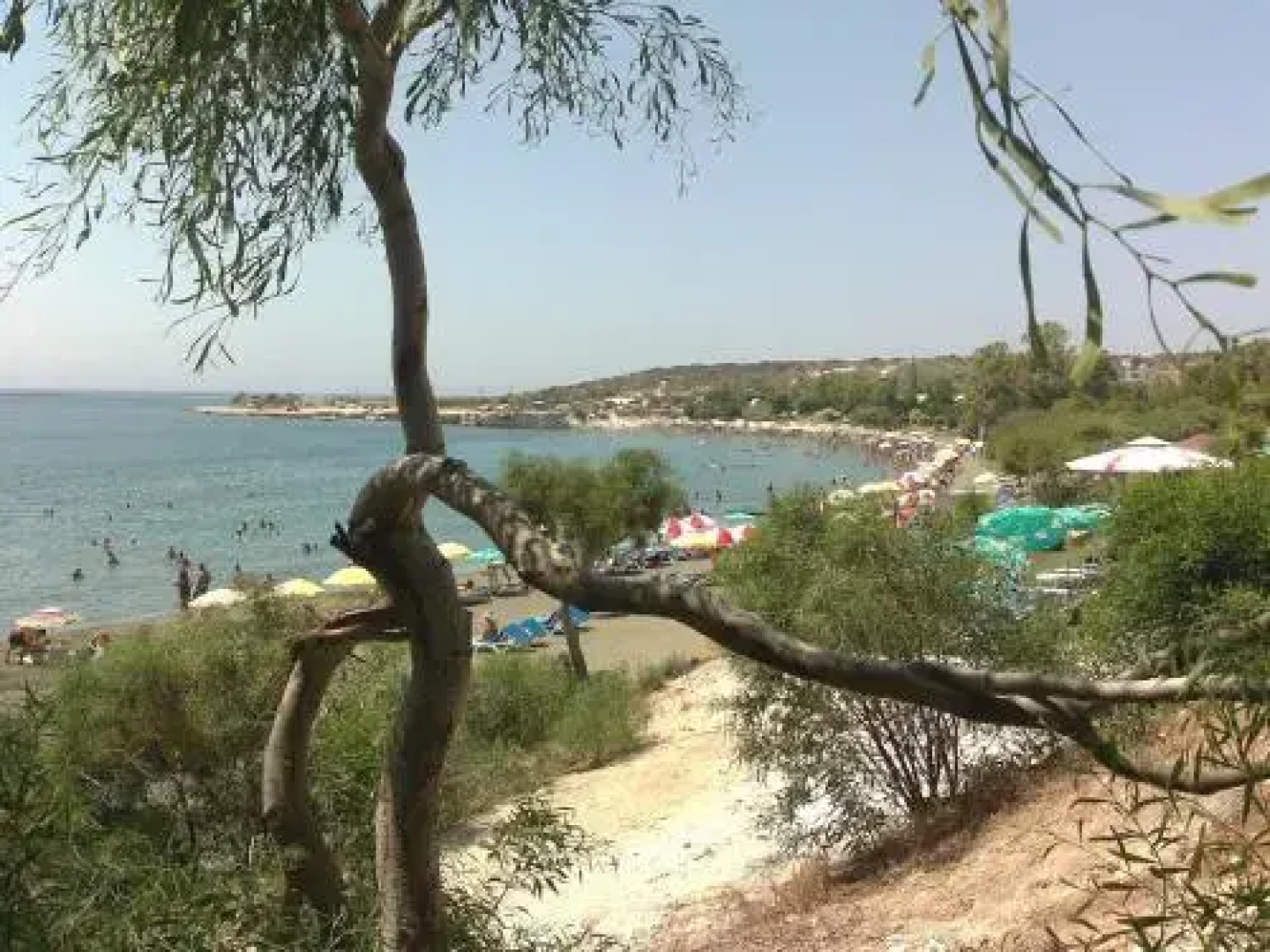 Cyprus Studio