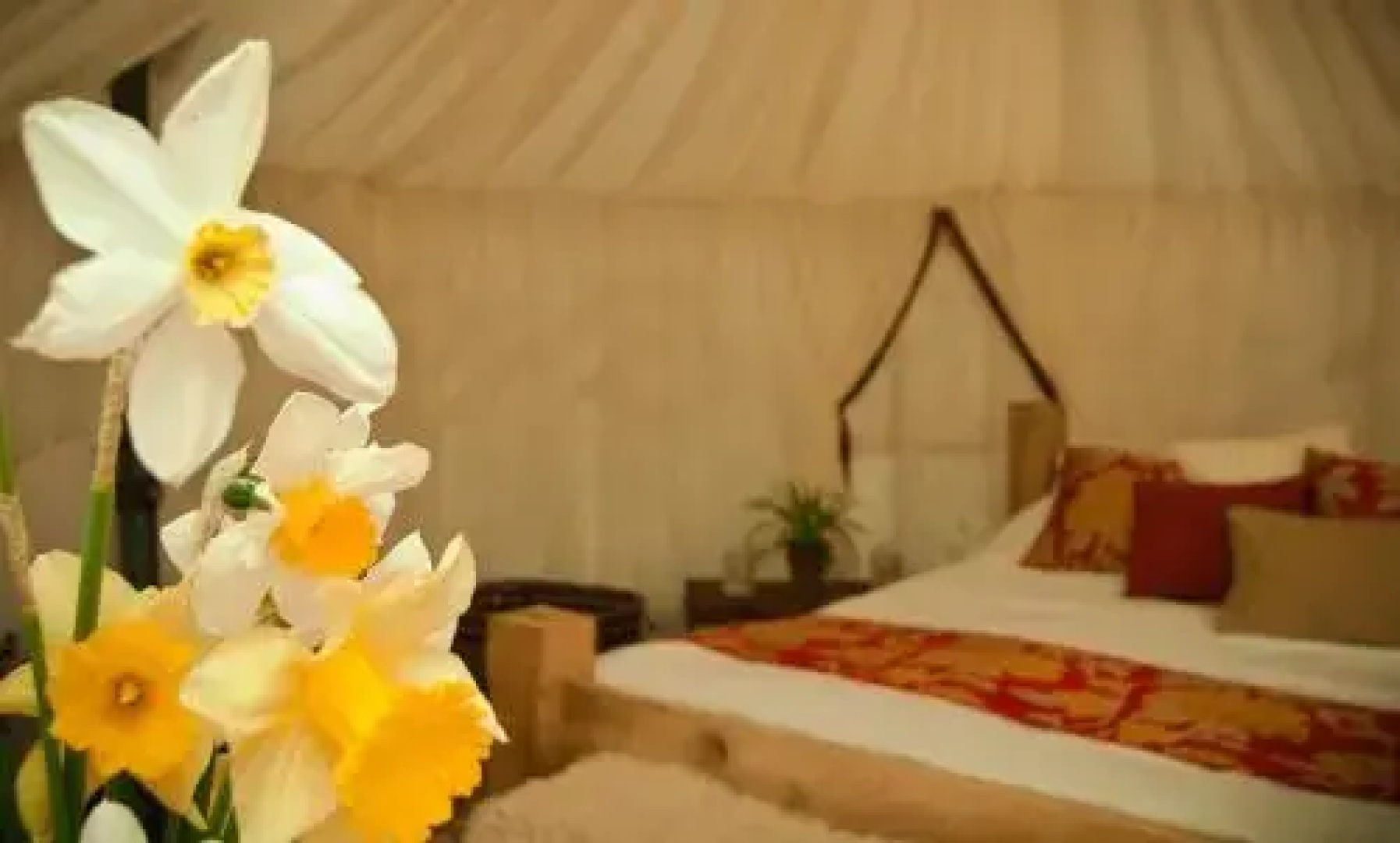 Plush Tents Glamping