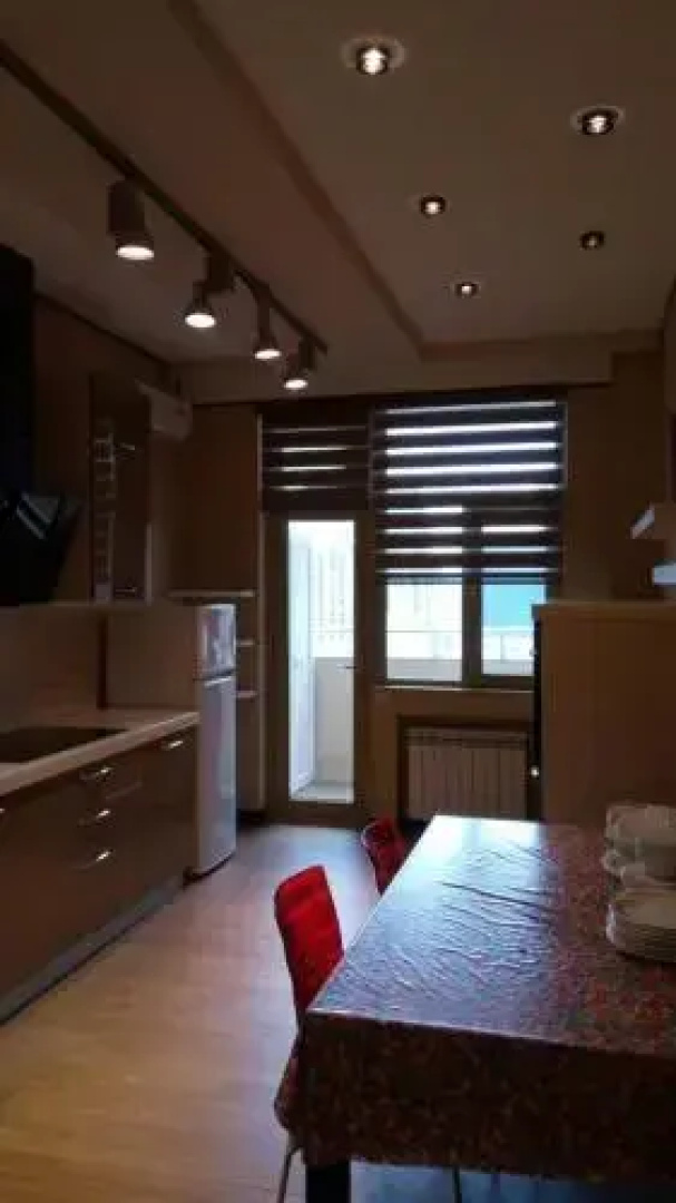 Dilyara Alieva 237 Apartment